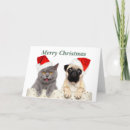 Search for pug christmas cards Pet