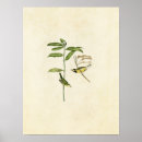 Search for 110 posters Illustration