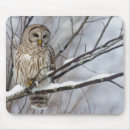 Search for barred mousepads Bird