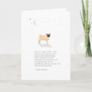 Search for tiny pet supplies Pug