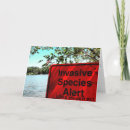 Search for warning cards Summer