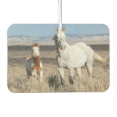 Search for horse car air fresheners Foal