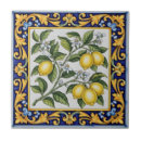 Search for majolica tiles Italian