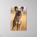 Search for african wild dogs posters Safari