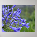 Search for back yard posters Outdoors