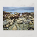 Search for monterey california postcards Ocean