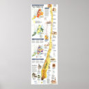 Search for usa maps posters Manhattan