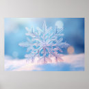 Search for flakes of snow posters Nature