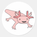 Search for salamander stickers Axolotl