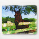 Search for quarter horses electronics Animals