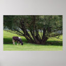 Search for cow painting posters Grass