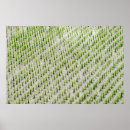 Search for crops posters Green