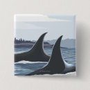 Search for travel alaska posters Whales
