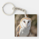 Search for barn owls key rings Nature