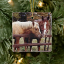 Search for horse christmas tree decorations Ranch