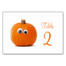 Search for pumpkins table cards Autumn