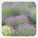Search for lavender love stickers Floral