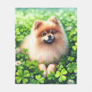 Search for pomeranian blankets Pets