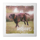 Search for believe tiles Encouragement