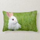 Search for rabbit cushions Bunnies