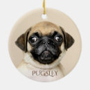 Search for pug holiday christmas tree decorations Cute