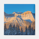 Search for danita delimont magnets Snow