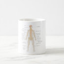 Search for nervous mugs System