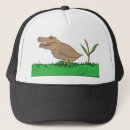 Search for creations hats Creationism