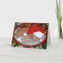 Search for animal lovers card christmas cards Cat