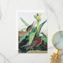 Search for audubon cards Wildlife