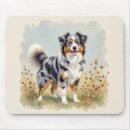Search for herding dog electronics Aussie