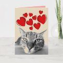 Search for cute cat valentines day cards Friend