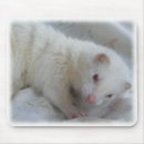 Search for ferrets mousepads Cute