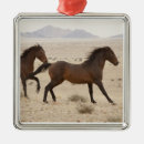 Search for namibia christmas tree decorations Desert