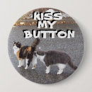 Search for calico cat badges Cats