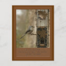 Search for feeders postcards Food