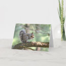 Search for pine branch cards Tree