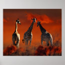 Search for wild life posters Animal