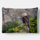 Search for eagle accessories Beak