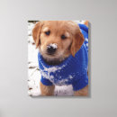 Search for retriever canvas prints Dog