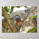 Search for australia posters baby kids Adorable