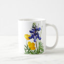 Search for lupin mugs Nature