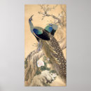 Search for peacock art Floral