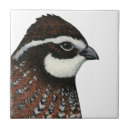 Search for quail tiles Fowl