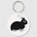 Search for dwarf rabbit accessories Bunnies