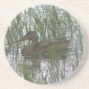 Search for cute duck coasters Animal