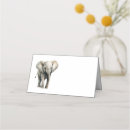 Search for elephant place cards Boy