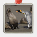 Search for in the wilderness christmas tree decorations Paul souders