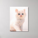 Search for longhair art Purebred cat