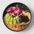 Search for lizard clocks Cactus